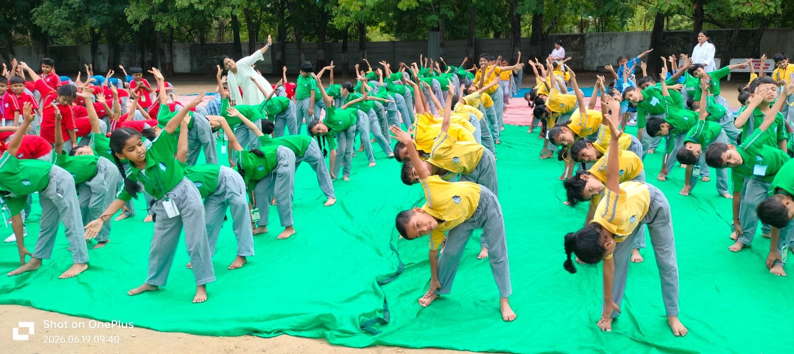 Image 4